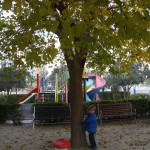sonbahar etkinliği 020