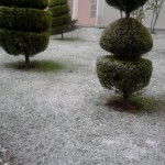 Fotoğraf0193