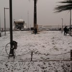 Fotoğraf0209
